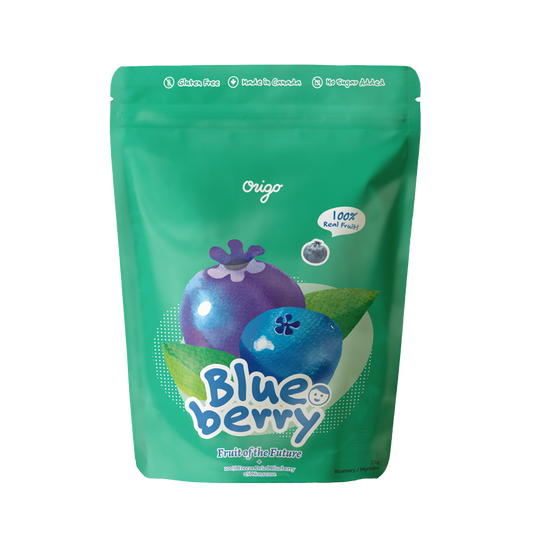 Origo Freeze Dried Blueberry 25g