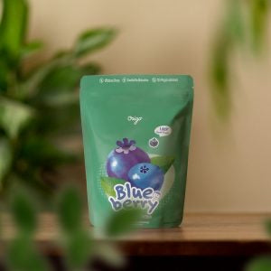 Origo Freeze Dried Blueberry 25g
