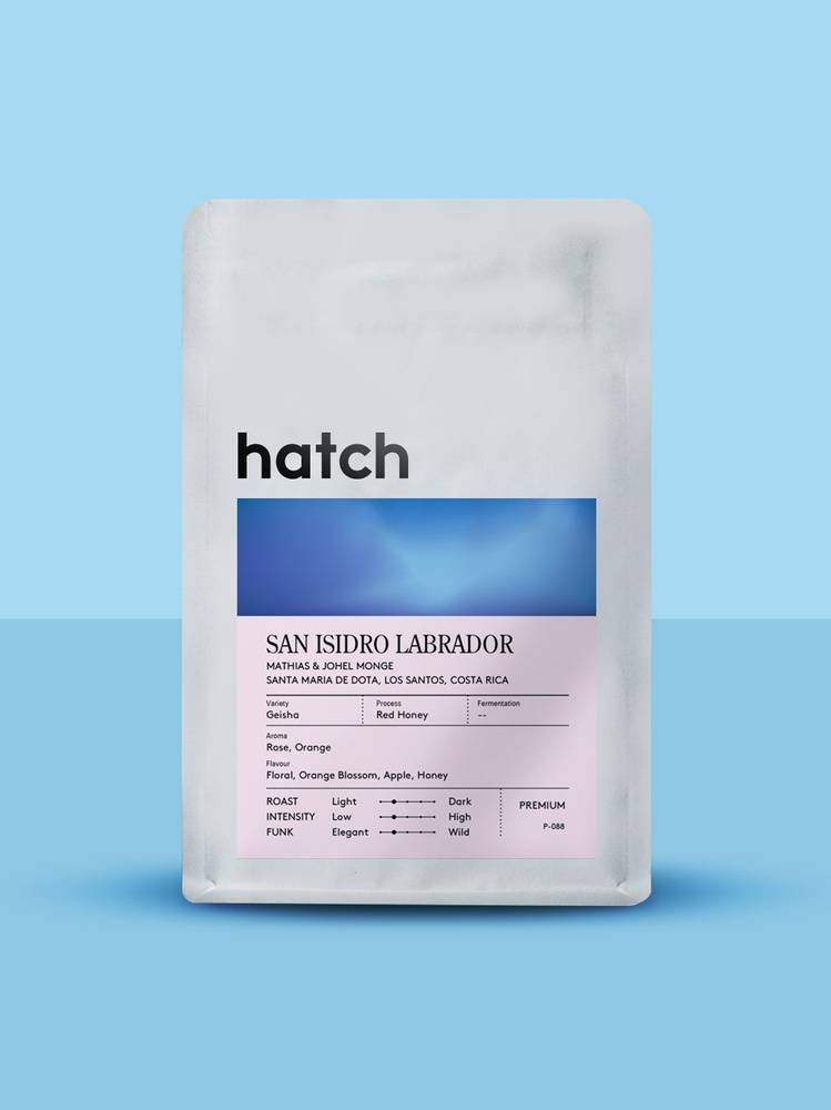 Hatch Coffee San Isidro Labrador Geisha Red Honey 200g