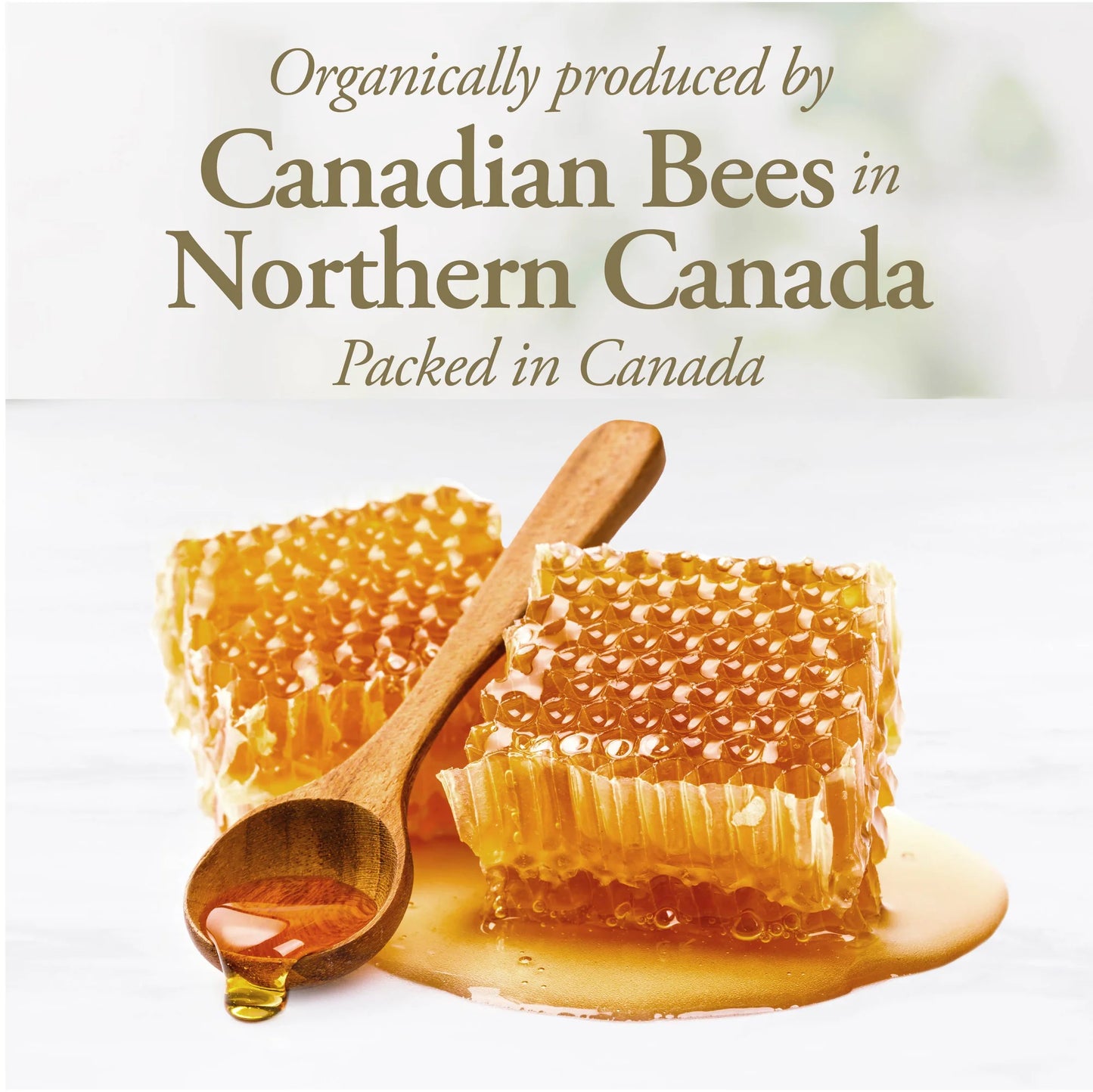 Dutchman's Gold Organic Raw Honey 330g