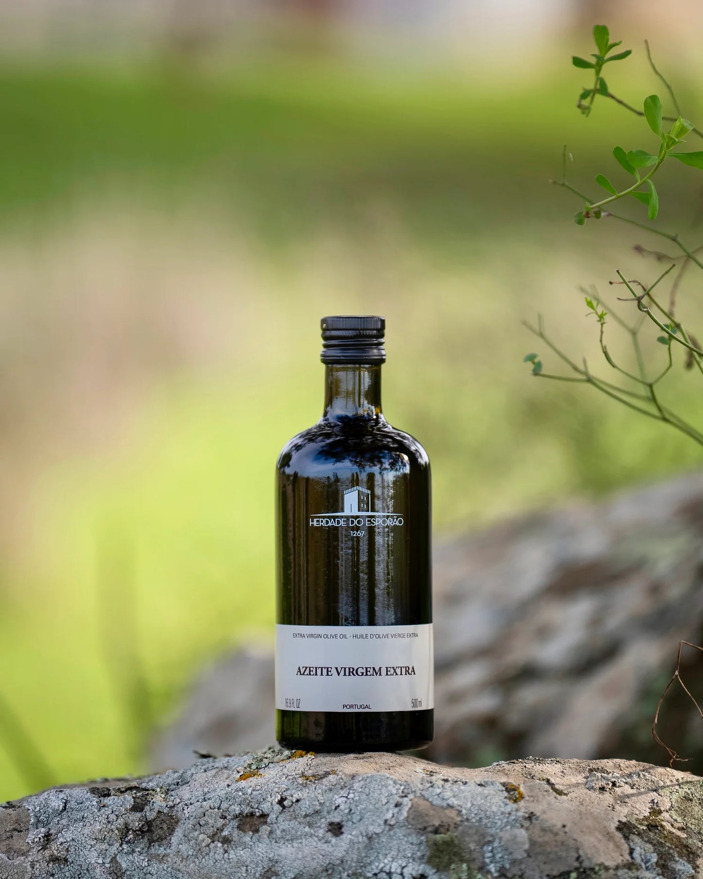 Alentejo ⋅ Extra Virgin Olive Oil 750ml