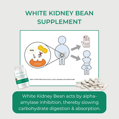 Elan Healthcare White Kidney Bean Extract - 60 Capsules (7000mg Equivalent), additional product image 6