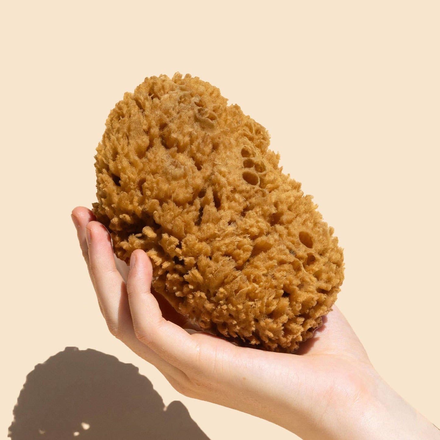 Wildcraft Body Sea Sponge - Natural, Exfoliating Bath Sponge