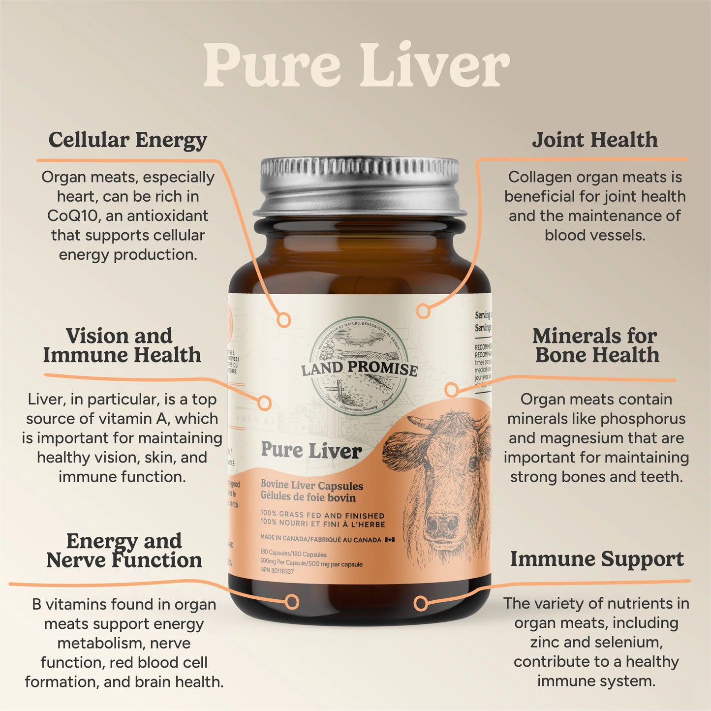 Land Promise Pure Liver 180 capsules