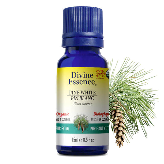 Divine Essence White Pine Organic Essential Oil  15 mL