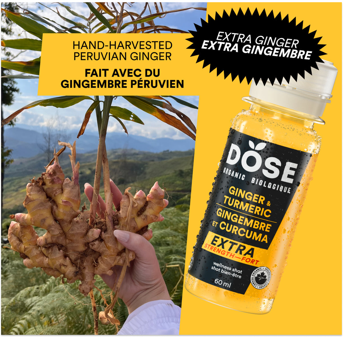 Dose Organic Extra Strength Ginger & Turmeric Wellness Shots Bottles (60 ml x 4 ct)