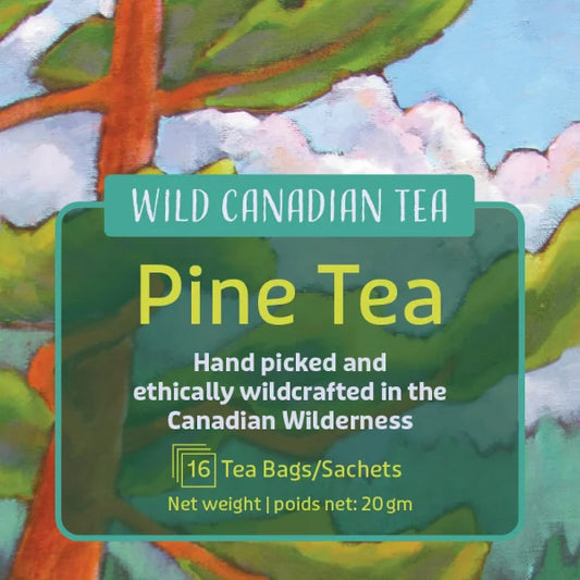 Wild Canadian Tea Pine Tea 16 Tea Bags