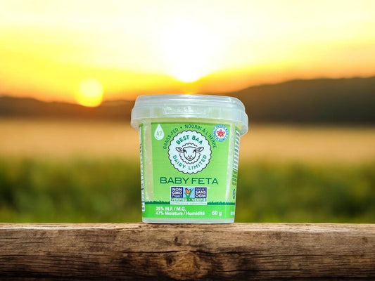 Baby Feta (Sheep Milk Feta) - Single Serving
60 g