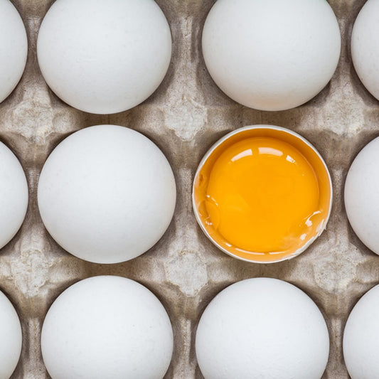 Nature’s Farm™ Free Run Smart Eggs™ 30CT LARGE