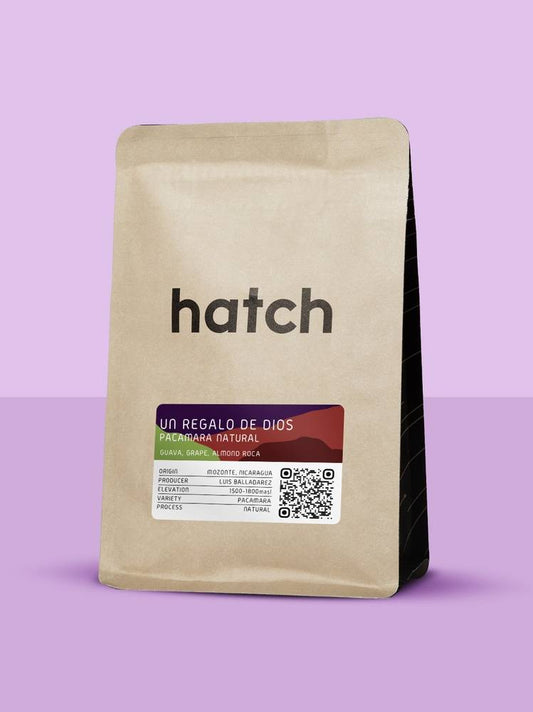 Hatch Un Regalo de Dios Pacamara Natural 300g