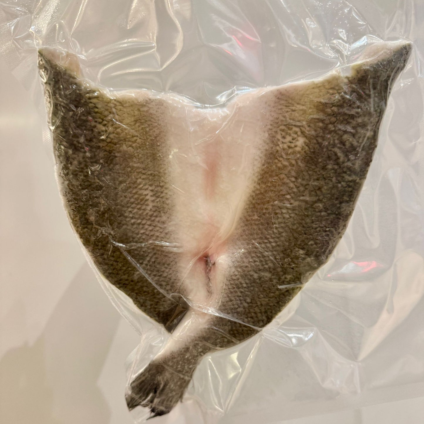 European seabass Butterfly - 8-10 oz