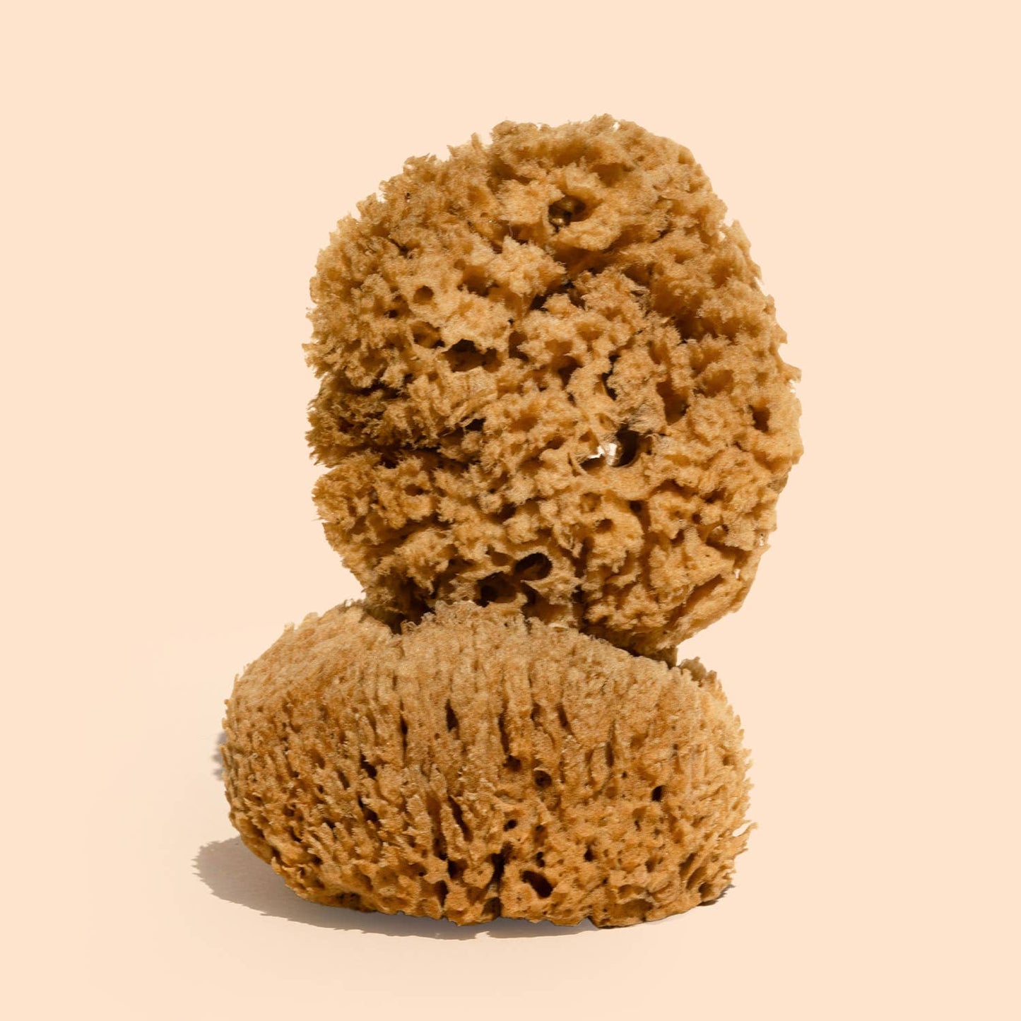 Wildcraft Body Sea Sponge - Natural, Exfoliating Bath Sponge