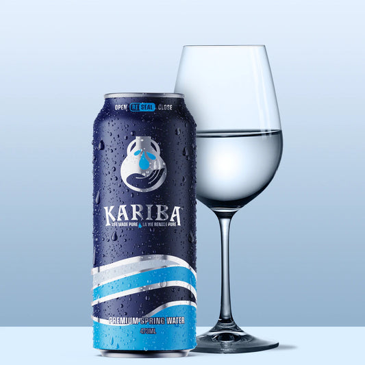 Kariba Beverages Spring Water 473ml