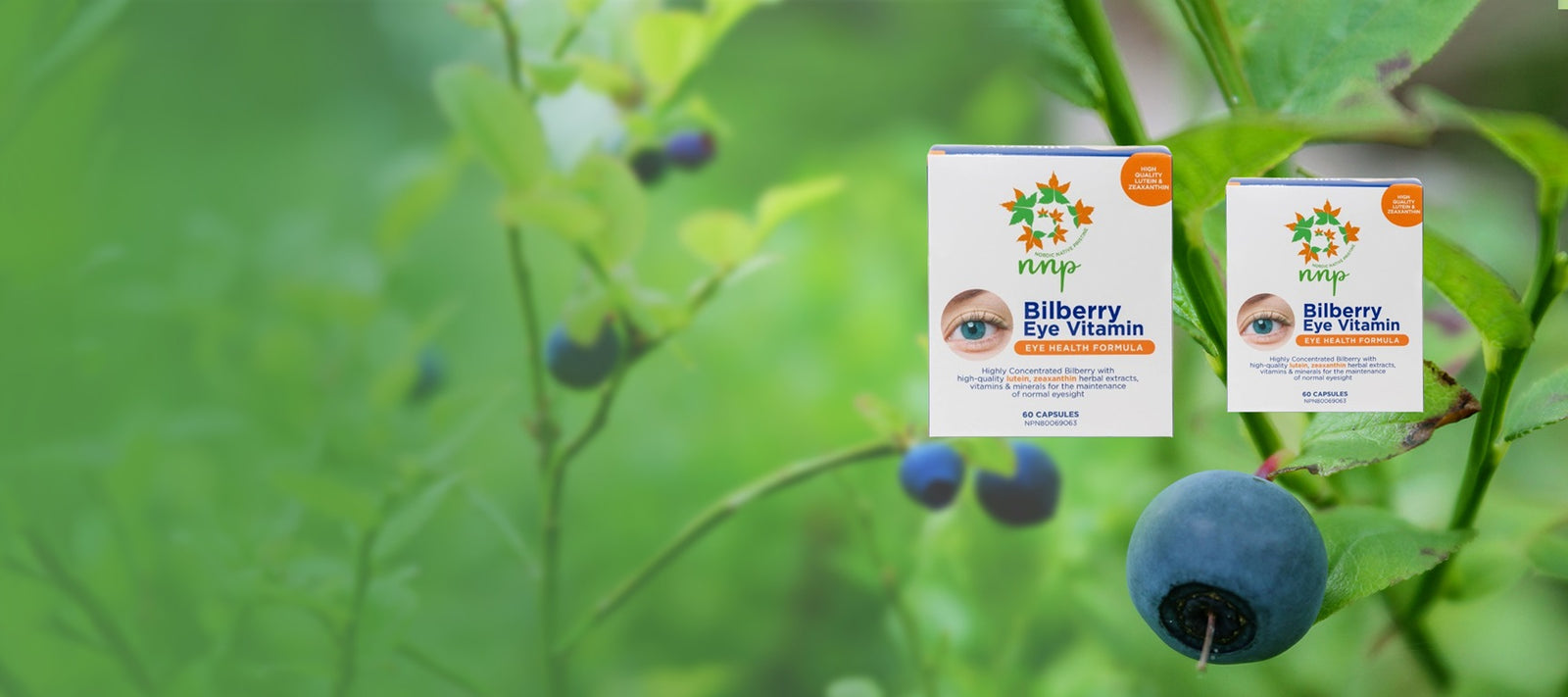 Wild Nordic Bilberry for Everyday Eye Health
